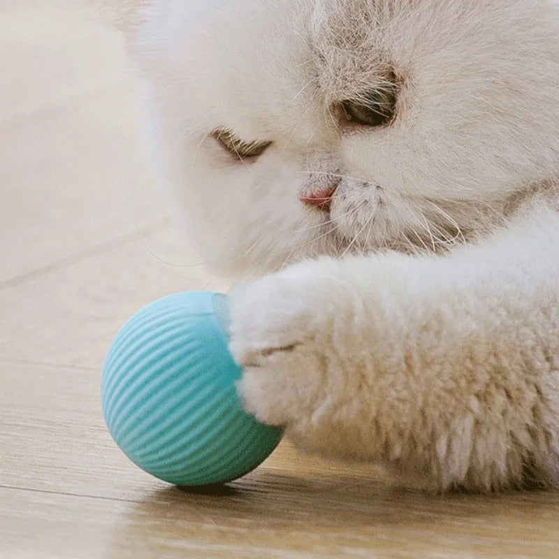 Cat Interactive Ball Smart Automatic Rolling Magic Ball Indoor Cat Toy