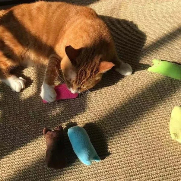Soft Claw Bite Cat Toy | Gentle Cat Chew Toy for US Cats