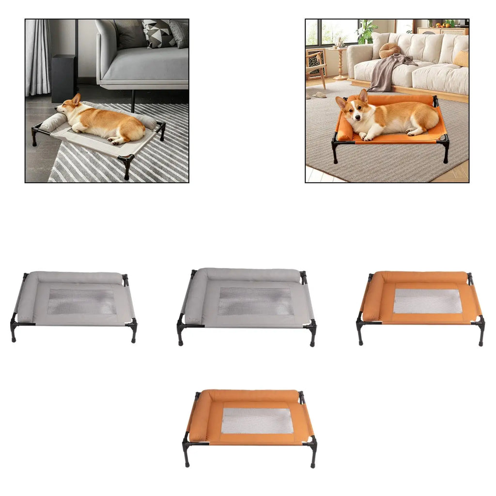 Heavy Duty Elevated Pet Bed Outdoor Spacious Metal Frame Dogs