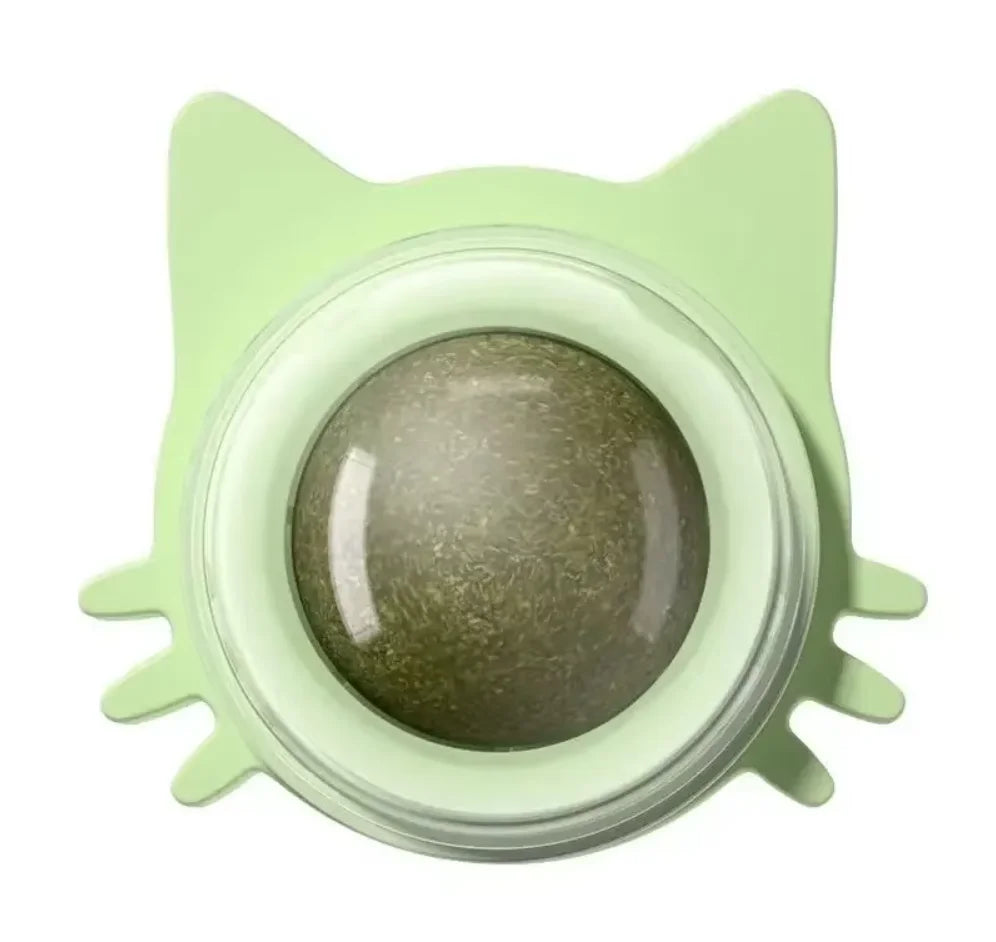 Wall Spin Catnip Ball Toy for Cats | PawJoyKwT
