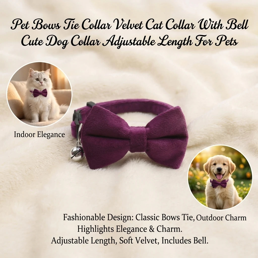Velvet cat collar with bow tie and bell, deep purple fabric bow with bell