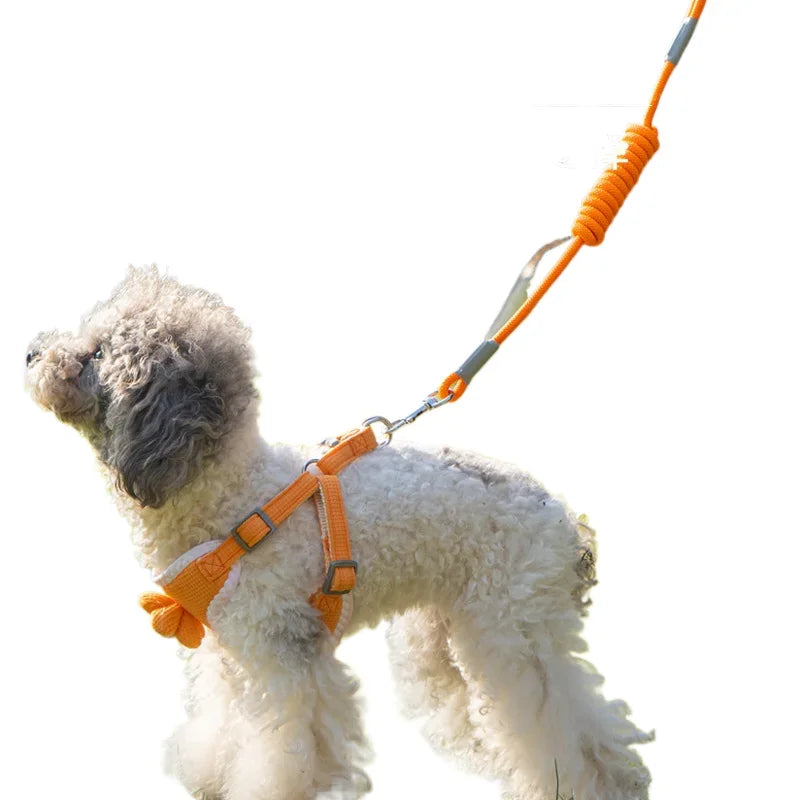 Dog harness and leash set on gray-and-white puppy, orange harness with paw charm