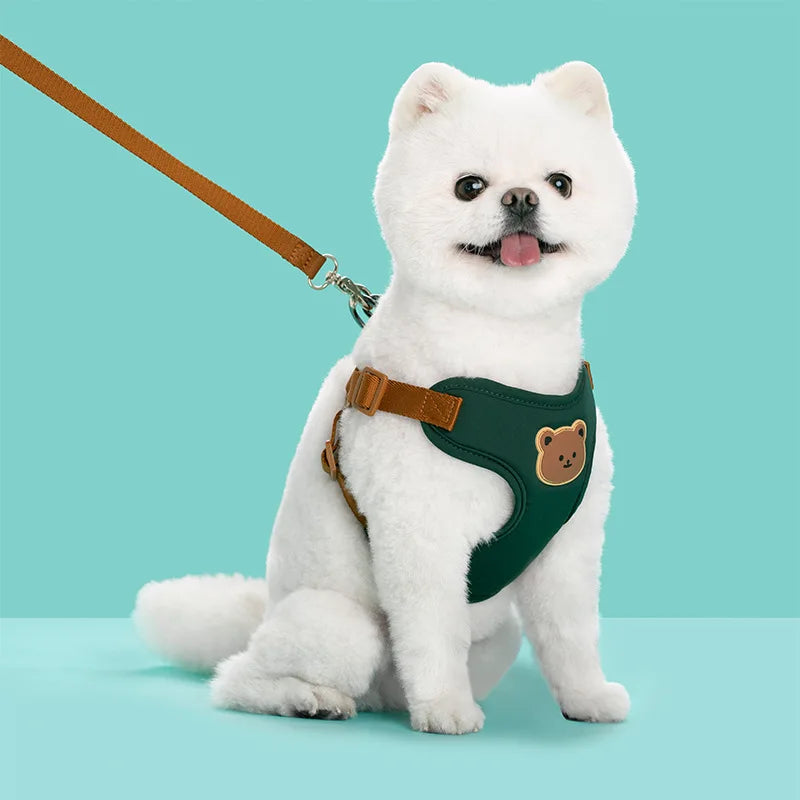 Breathable dog harness and leash set on small white dog, green vest with bear patch