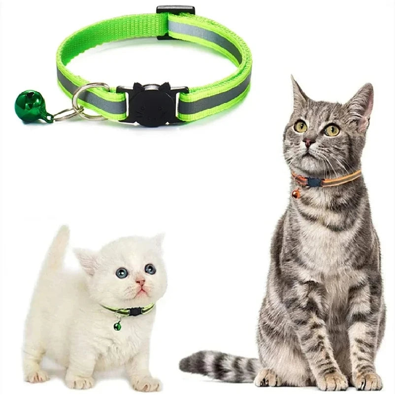 Cat collars with bells on two cats, lime green and light blue straps shown