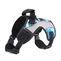 No-Pull Padded Dog Harness Leash Clips Easy Control | PawJoyKwT