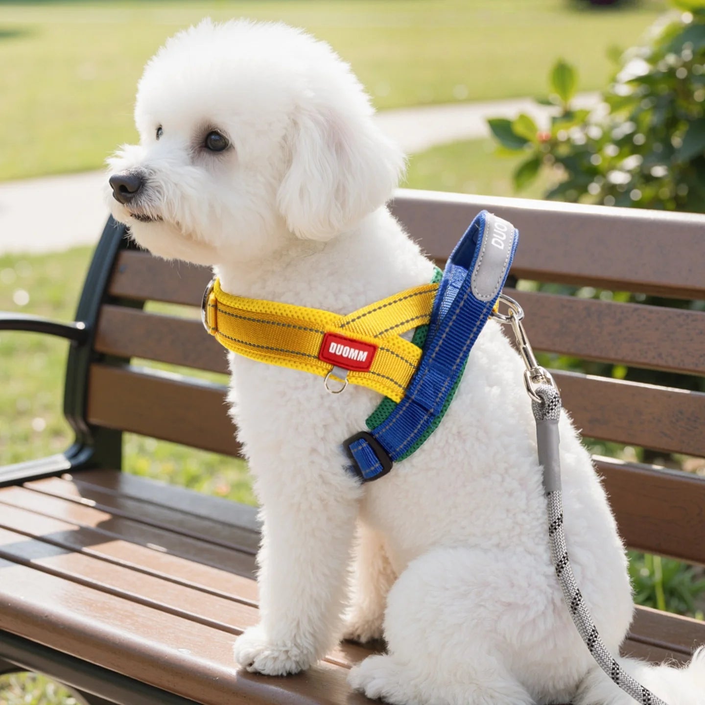 Padded Vest Dog Harness Reflective Straps Secure Walking | PawJoyKwT