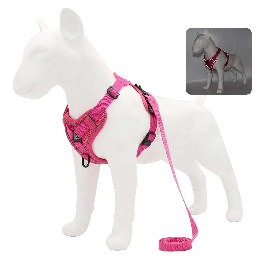 Dog Harness Leash Set Denim Jean Style Cute Adjustable No Pull Small Medium