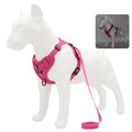 Dog Harness Leash Set Denim Jean Style Cute Adjustable No Pull Small Medium