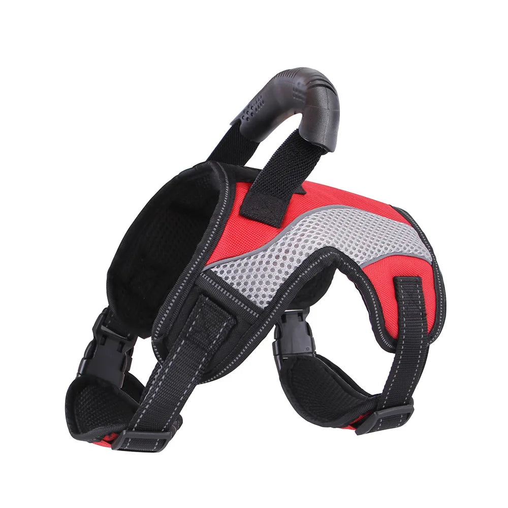 No-Pull Padded Dog Harness Leash Clips Easy Control | PawJoyKwT