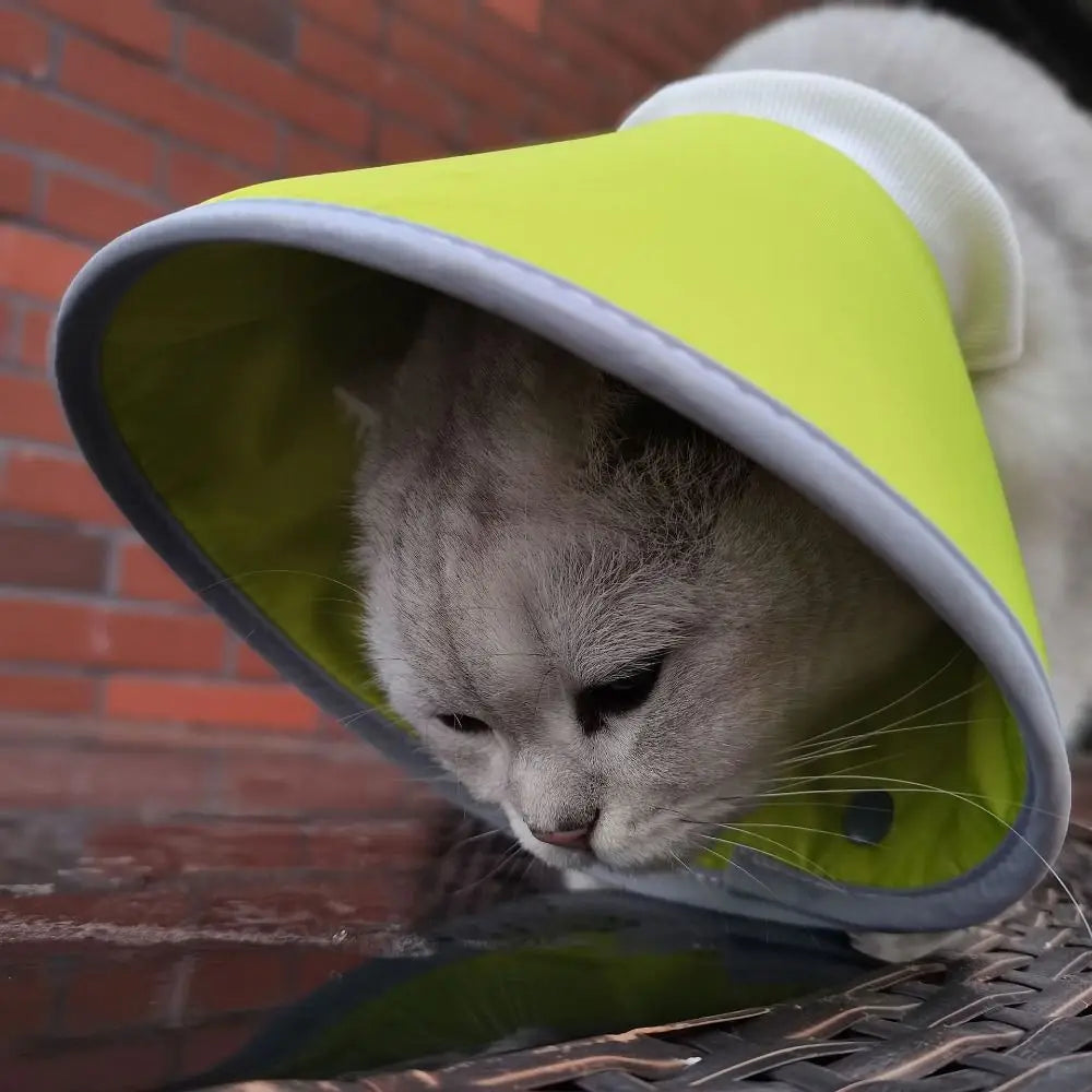 Lightweight Cat Cone Collar Anti-Bite Elizabethan Breathable