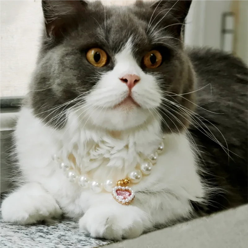 Adjustable pearl and rhinestone pet collar with pink heart charm on cat