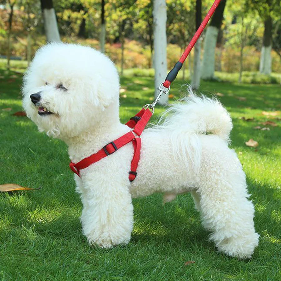 Adjustable Triangular Breathable Nylon Dog Harness Vest | PawJoyKwT