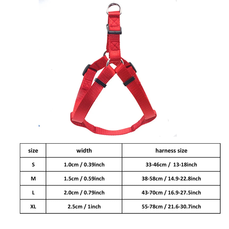 Adjustable triangular dog harness with red webbing and top metal ring