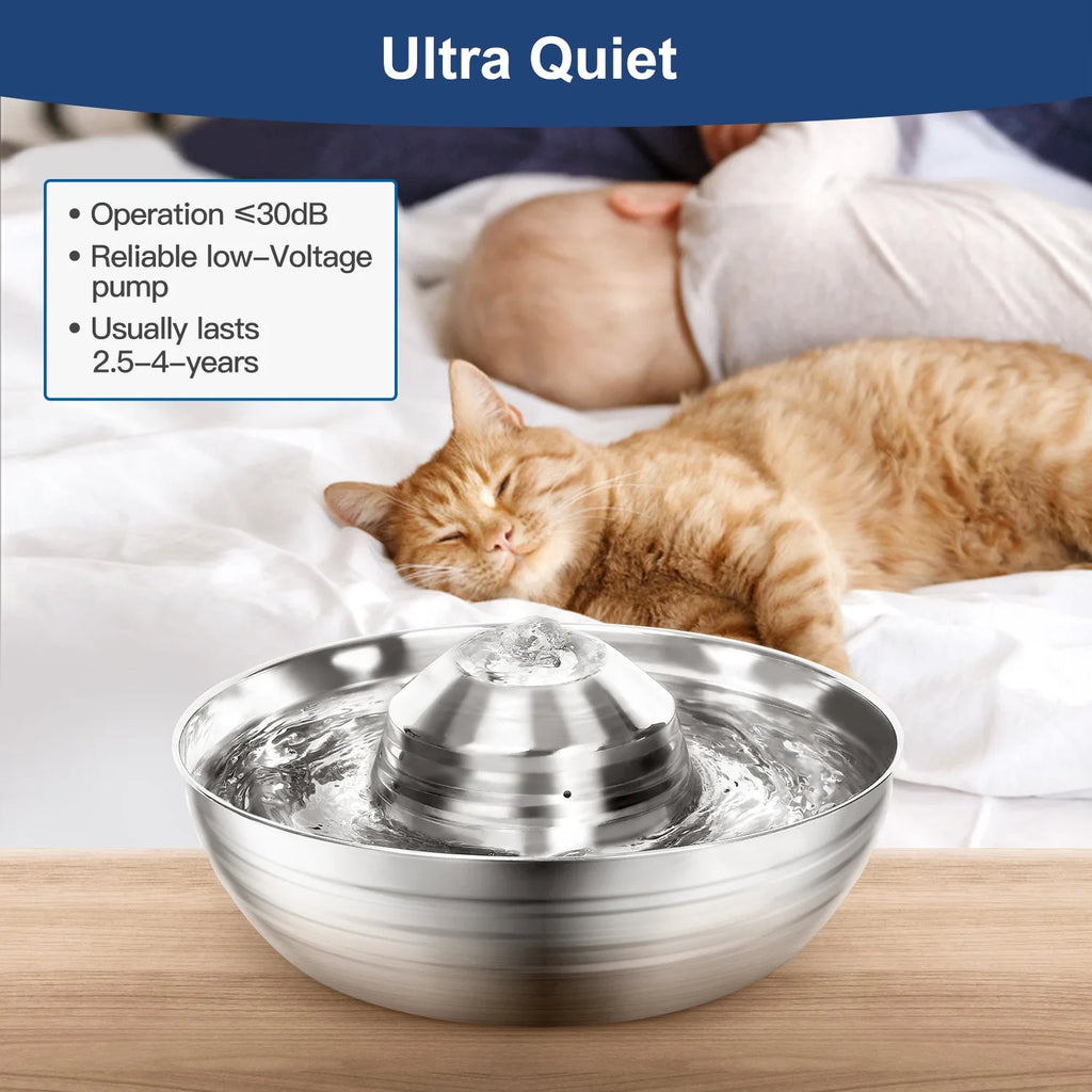 Auto Cat Feeder | Automatic Pet Food Dispenser USA