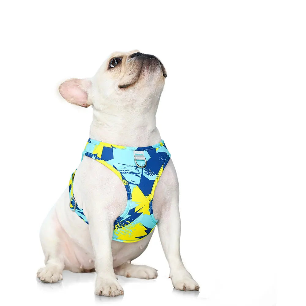 Mesh adjustable dog harness vest on small white dog, blue and yellow graphic print