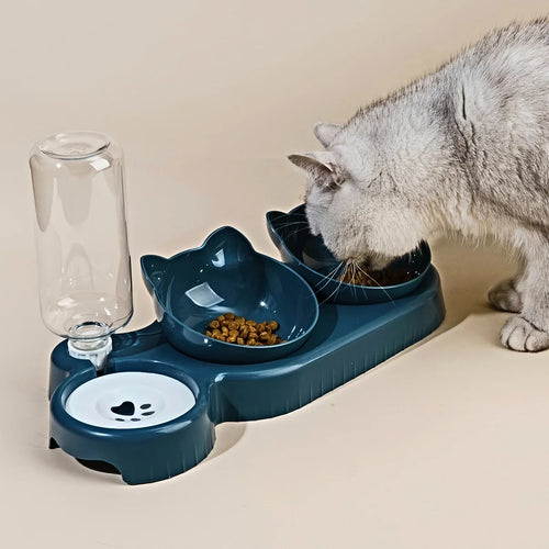 Teal 3-in-1 cat feeder with two bowls and gravity water bottle, shown with cat