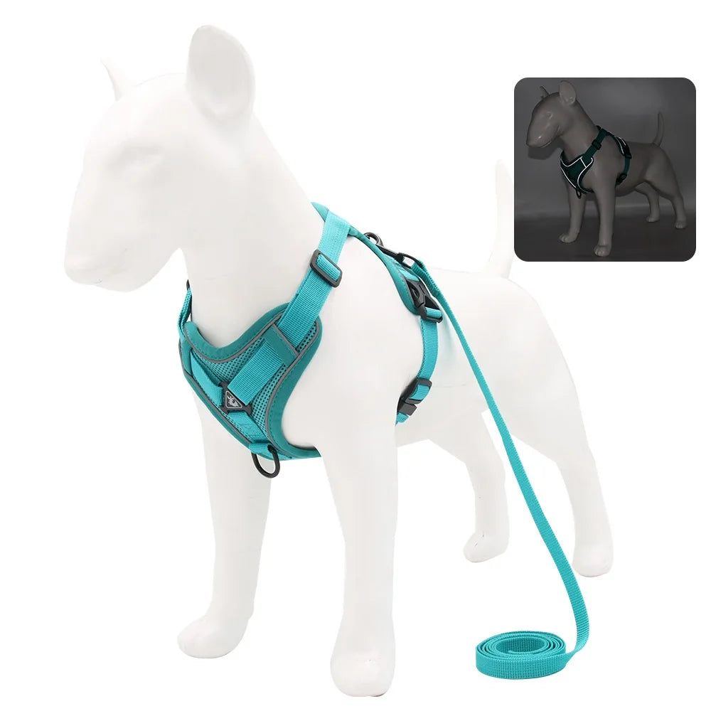 Dog harness and leash set in teal with adjustable straps and matching leash