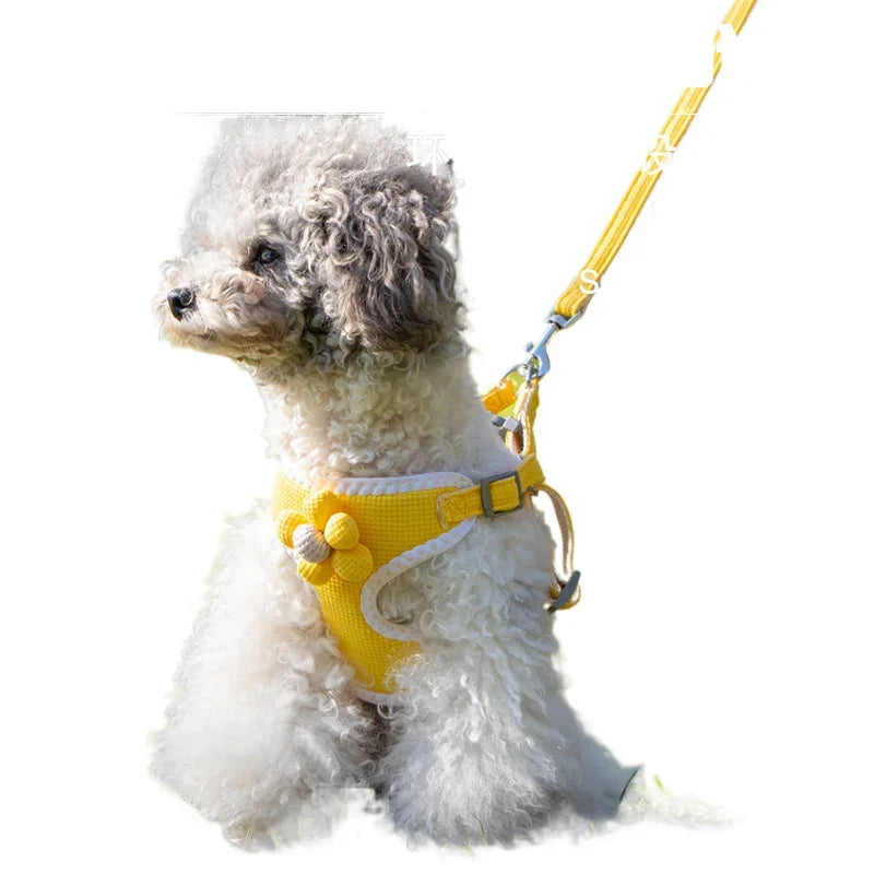 Adjustable dog harness and leash set on small dog, yellow harness with dangling leash clip