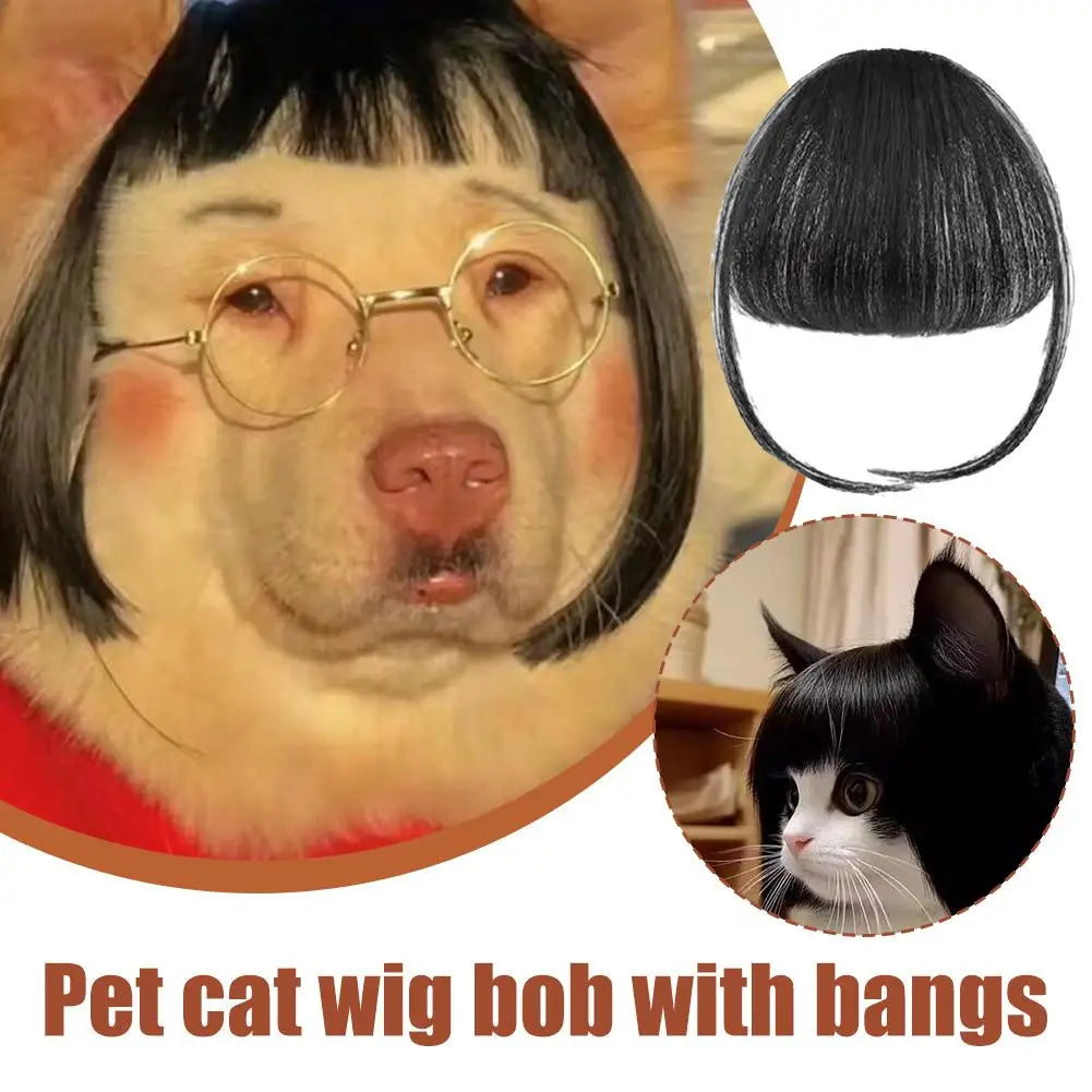 Pet wig headdress with black bob hairpiece and bangs, shown with a cat