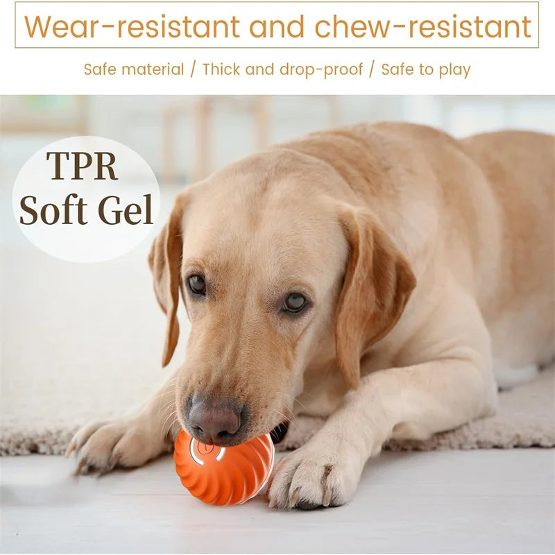 Smart USB Rechargeable Moving Ball Toy for Dogs & Cats