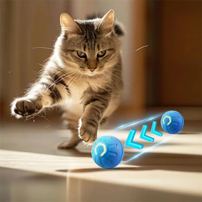 Smart USB Rechargeable Moving Ball Toy for Dogs & Cats