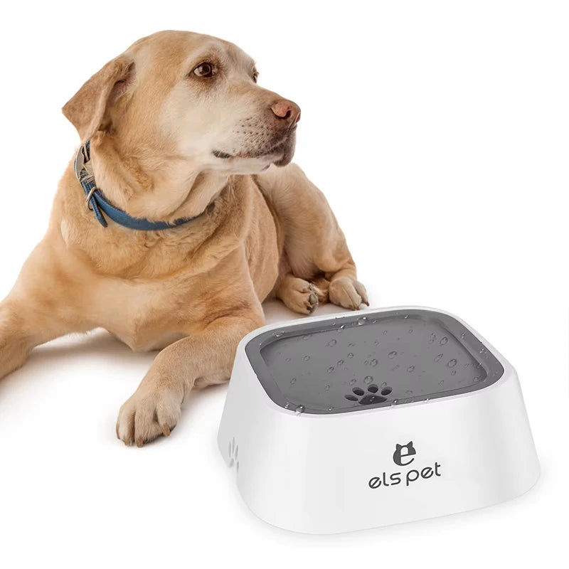 No-Spill Slow Water Feeder Dog Bowl