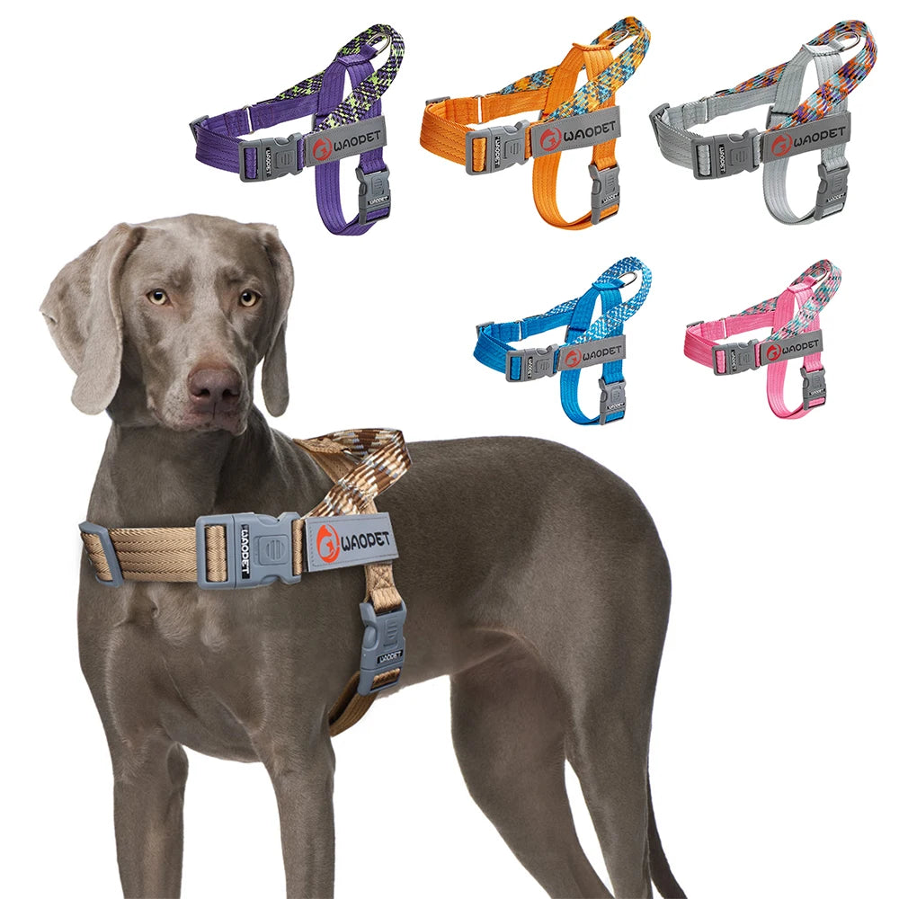 Dog wearing WAOPET chest harness; multiple harness color options shown