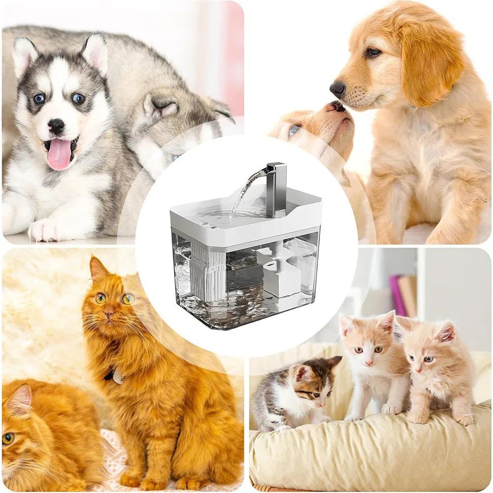 1.5L Cat Water Fountain Auto Filter USB | Live Circulation USA