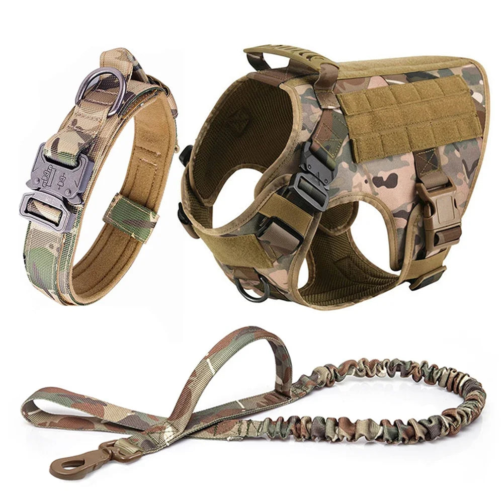 Camouflage dog harness set with collar and coiled leash