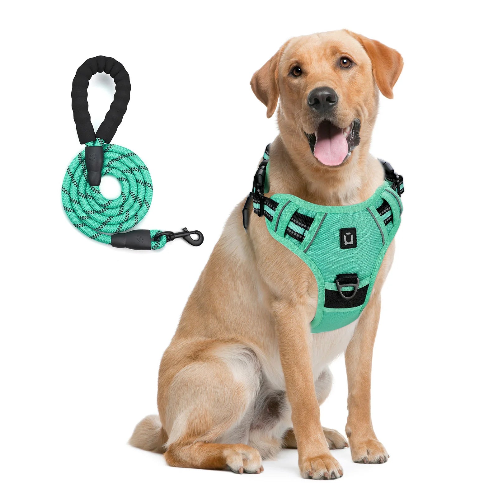 Dog harness and leash set in teal with reflective accents, worn on a yellow dog