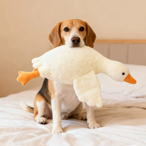 White goose plush toy with orange beak and feet, supported by a sitting dog on a bed