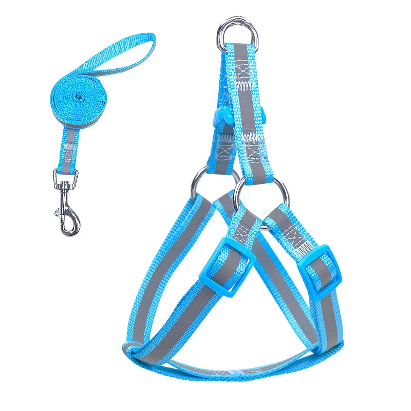 Reflective dog harness with leash, light blue reflective straps and metal clips