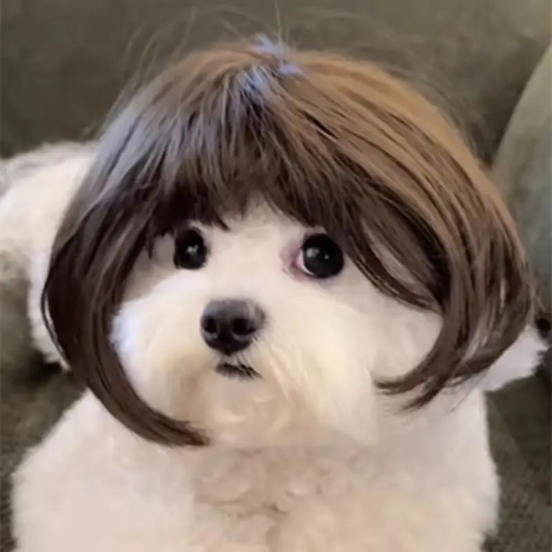 Dog wig headdress with brown-and-white fur styling and black chin tie cords