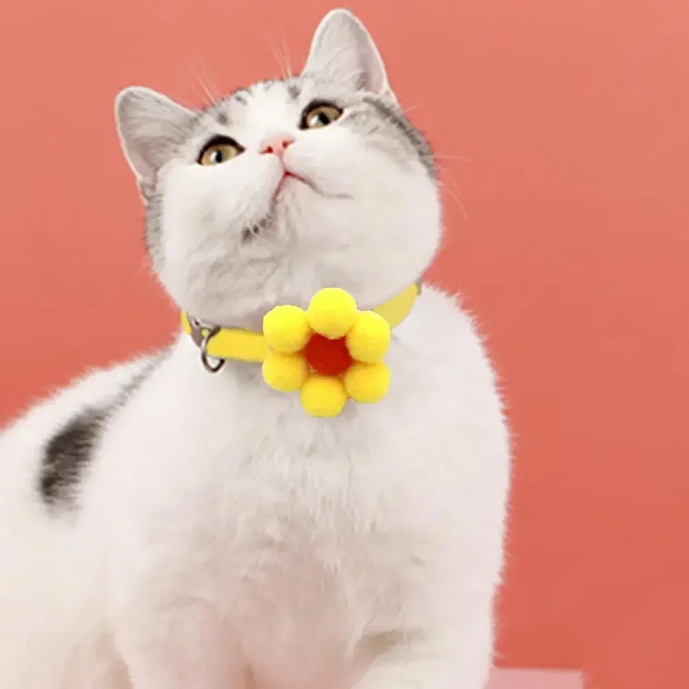 Cute Bow Cat Collar Kitten Necklace Bell Chihuahua Puppy