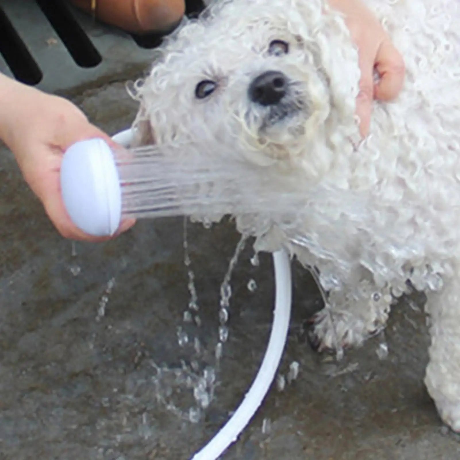 Pet Bathing Shower Dog Cat Multifunctional Garden Sprayer Grooming Tool