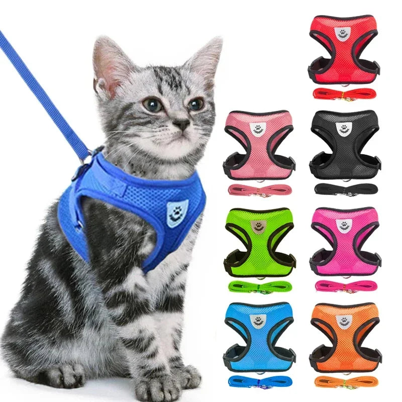 Blue mesh cat harness and matching leash set worn by a gray tabby cat