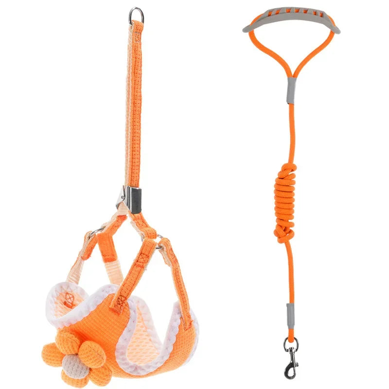 Adjustable orange dog harness and matching leash with gray connector strap