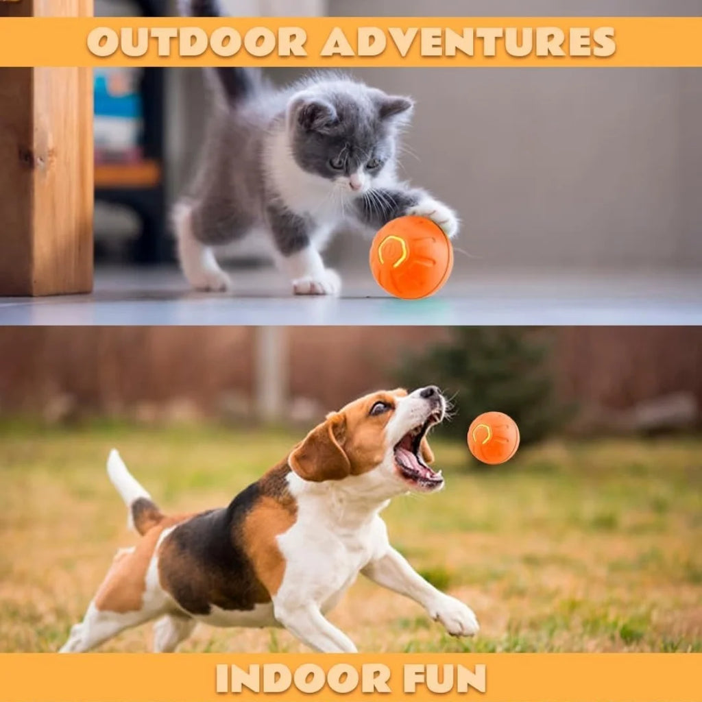 Smart Gravity Electric Bouncing Ball for Dogs & Cats