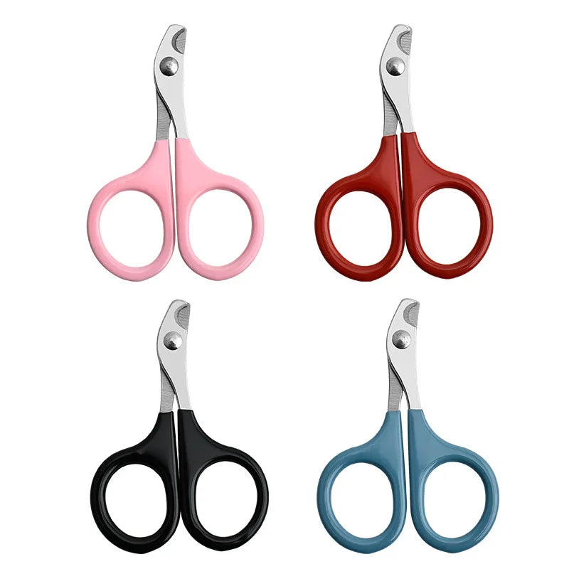 Pet nail clipper scissors set: pink, red, black, and blue handles with silver blades