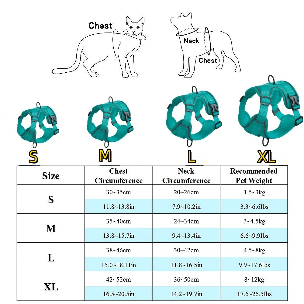 Dog Harness Leash Set Denim Jean Style Cute Adjustable No Pull Small Medium