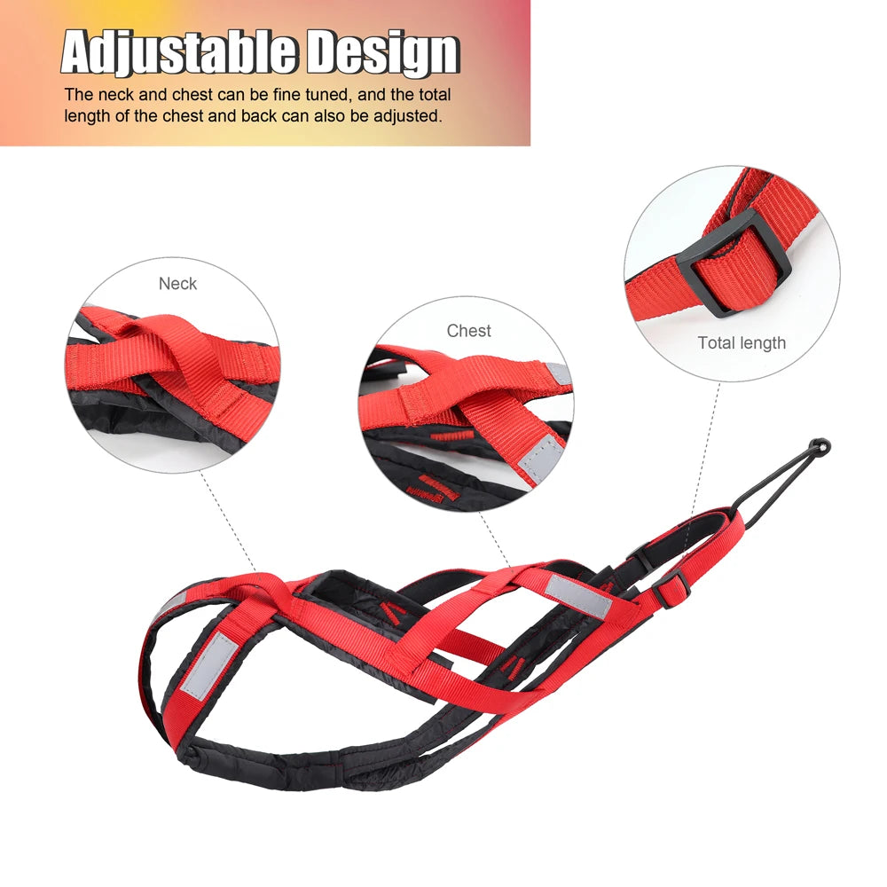 Dog Harness Leash Set Nylon Adjustable Reflective No Pull Padded Vest Medium Large