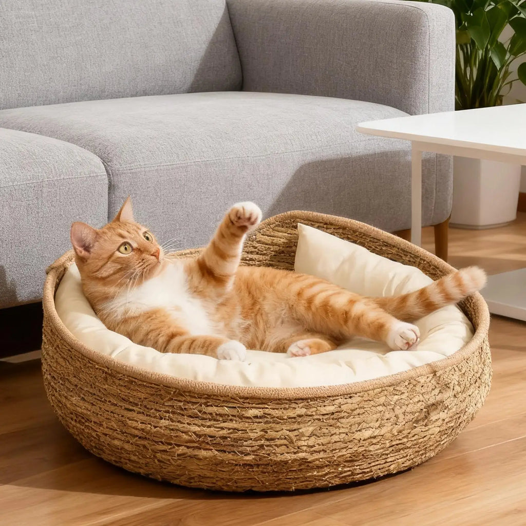 Hand-Woven Cotton Rope Cat Basket All Season