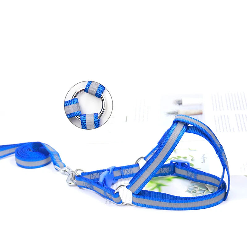 Blue reflective dog harness vest with leash clip and strap details