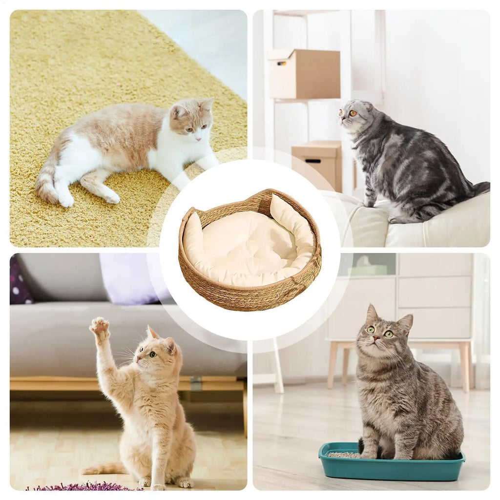 Round Cotton Rope Cat Bed Indoor All Season Sleeping
