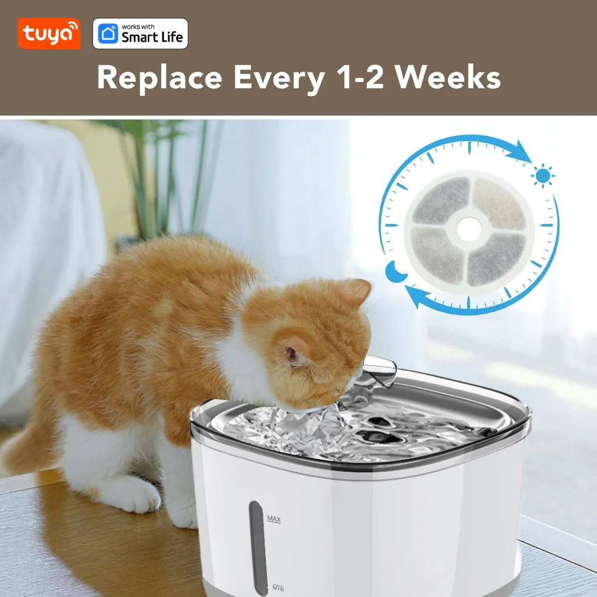 Tuya App Cat Water Dispenser | Smart Pet Fountain USA