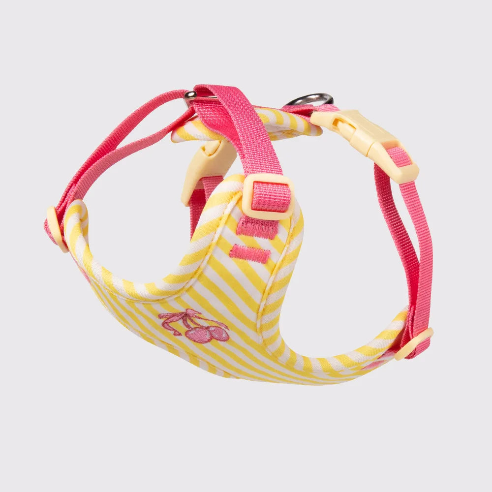 Dog harness and leash set with yellow-and-pink striped fabric and pink adjustable straps