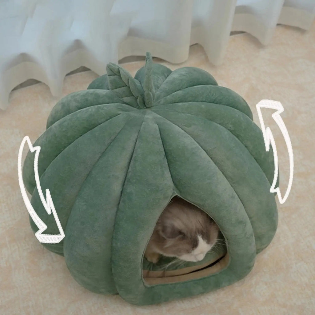 Pumpkin Cat House Enclosed Bed for Kittens
