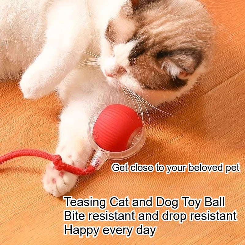 Teaser Rope Jumping Ball Self-Entertainment Toy for Pets