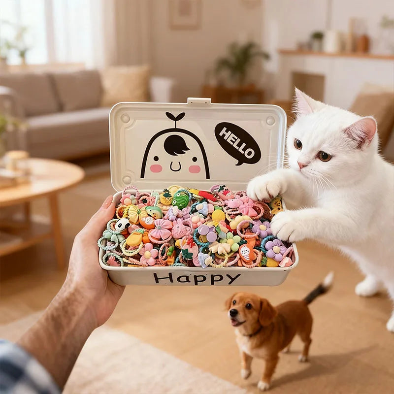 Storage case of pastel pet hair accessories held by a person