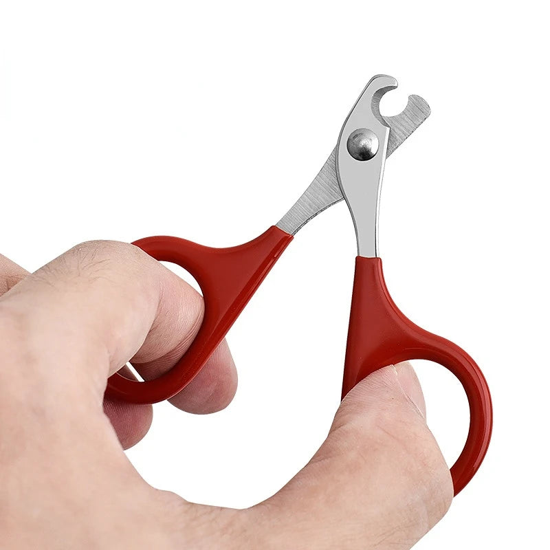 Pet nail clipper scissors with red handles and silver cutting blades, close-up